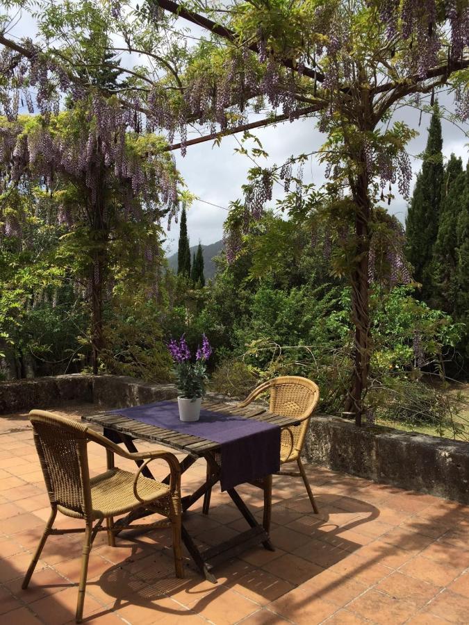 Finca Can Trui Teresa Pollença Eksteriør bilde
